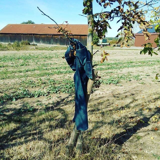 bodehase's tweet image. Diese Geschichte würde ich gerne erfahren. #JeansAmBaum #Bike2denkst #denkst #denkst18 #mitdemfahrrad #blogger #bloggerKonferenz #perFahrrad #mitdemFahrradUnterwegs #Radlhasen #radtour #radweg #papablog #bikelover #bikelovers #biketour #biketouring #mädch…