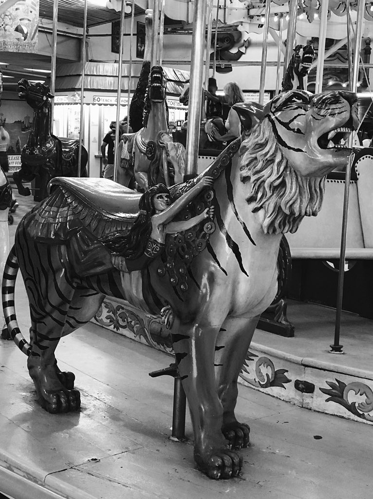 ArmChairLaura's tweet photo. #mylifeinblackandwhite Day 1.  
7 days , one black &amp; white photo, no humans, no words. Challenge passed to one new person each day.  Today I challenge @Blurde01 https://t.co/Ch3f26GIRp