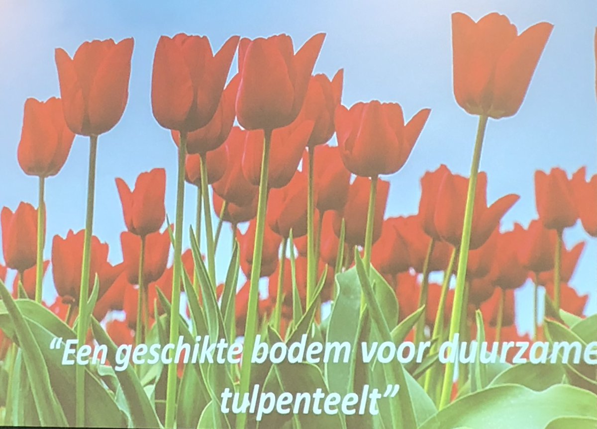 vhkaar's tweet photo. Onderzoek waarin wij participeren #ighbv #tulp #duurzaam #tulip https://t.co/F0iCRoRGfY