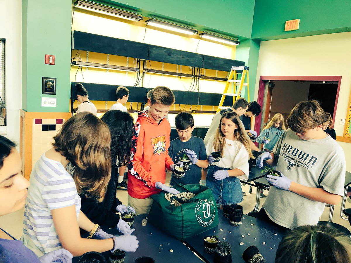 MsWellnessEdu's tweet photo. 1st official hydroponic grow wall planting in session! 8th gr Ss enhancing their nutrition knowledge and skill w/ Mrs. Kenney-Nolan. #HelathEd #GrowYourOwn #Hydroponics #Sustainability #HWEdFund https://t.co/NDPbYCcJWZ