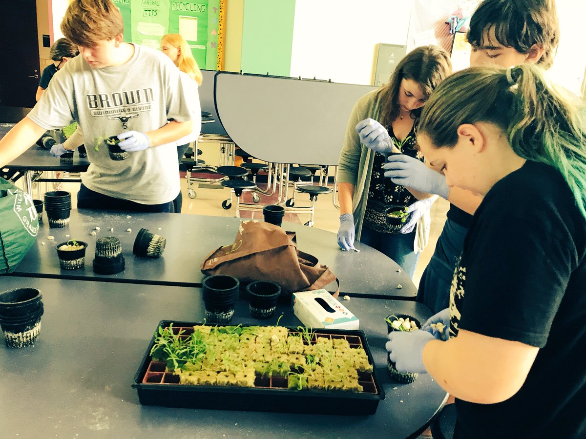 MsWellnessEdu's tweet photo. 1st official hydroponic grow wall planting in session! 8th gr Ss enhancing their nutrition knowledge and skill w/ Mrs. Kenney-Nolan. #HelathEd #GrowYourOwn #Hydroponics #Sustainability #HWEdFund https://t.co/NDPbYCcJWZ