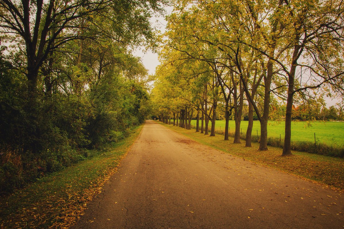 WisconsinBBB's tweet photo. Who doesn't love a view like this? 😍 Let's all enjoy autumn while it lasts!
#WiWednesday #WednesdayWisdom https://t.co/g4MsOFoVwg