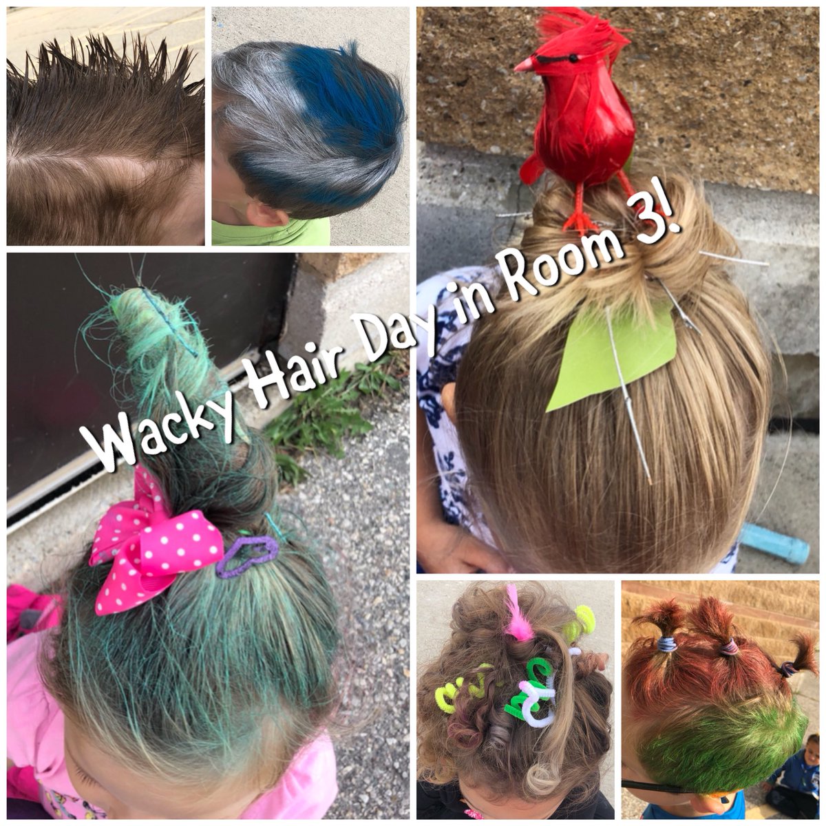 CuriousMindsInRoom3 tweet media