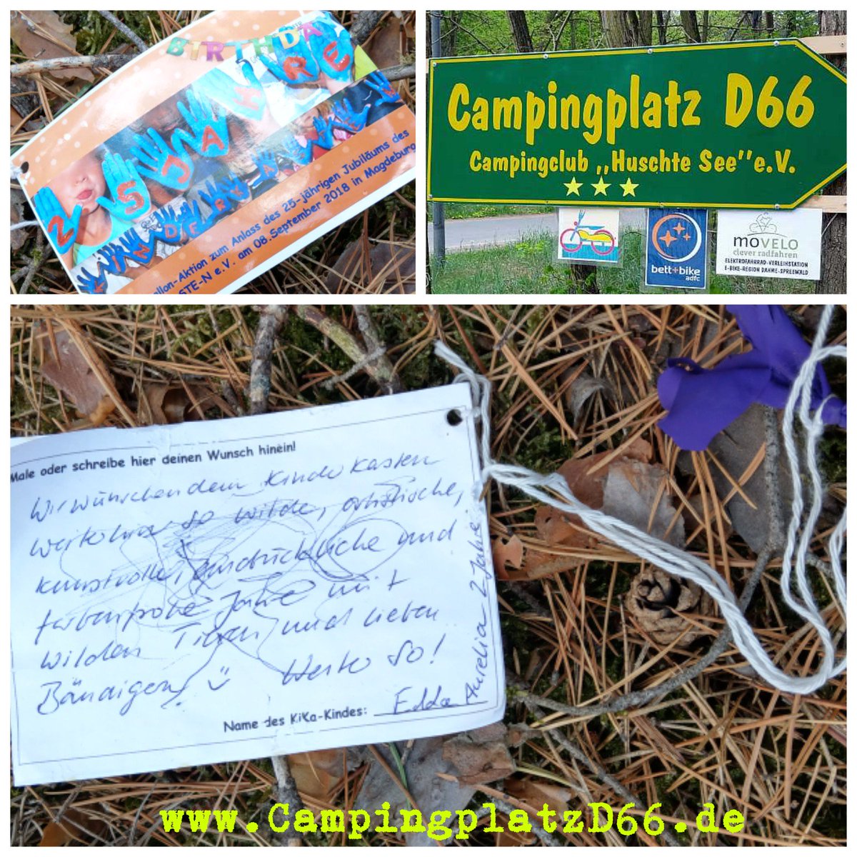 CampingplatzD66's tweet photo. Post aus Magdeburg bei uns per Luftpost 🌳🌲🎈📃🌲🌳 gelandet, 25 Jahre KinderKasten e. V. - alles Gute! - https://t.co/viyO3XBPS0 https://t.co/TBsnFOmrRm