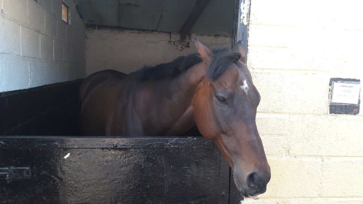 Judith Evans tweet media