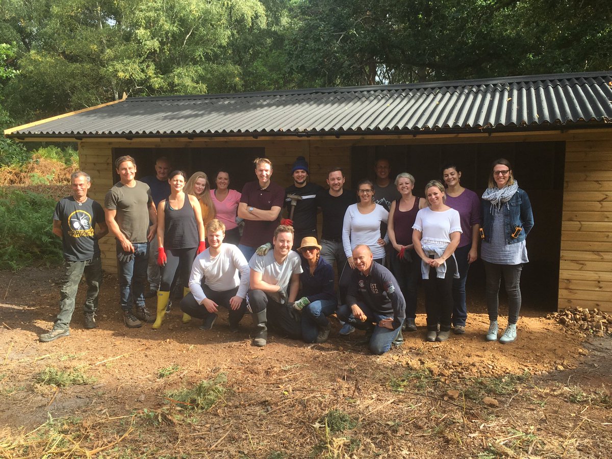 SHoltonLee's tweet photo. Massive thanks to the volunteer team from LV! They put a floor in the shelter &amp; built a pond and birdwatching area! @dorset_eye @DorsetFS @LivabilityUK @lv @harbourbirds @Dorsetecho @ChrisGPackham @tinamlindsay #volunteer #italladdsup #wellbeing https://t.co/YGP0qIM9ym