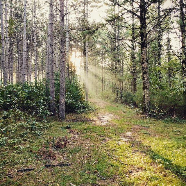 nurunco's tweet photo. Heading into the light. 25k runners it looks peaceful now, but in 24 days and about 1/4 mile down the trail the Ridge may have a different feeling in store for you. :) #blackrivertrailclassic https://t.co/gP4BKuFMiS https://t.co/V6yVXWLn6v https://t.co/UFfEF8cr5i