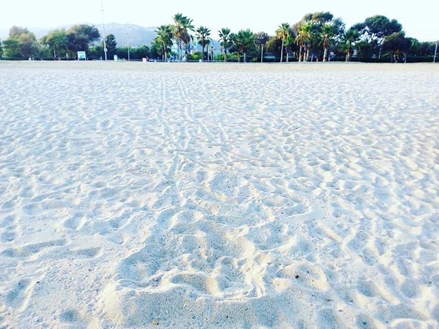 strandMINblick's tweet photo. #pinedademar #strandausflug #surfen #surf #surfsport #windsurfen #windsurfer #paradies #strandzeit #meintraumstrand #sandstrand #mittelmeer #strand #costabrava https://t.co/Z16Nb7omFN https://t.co/4ZTBFxxUC8 https://t.co/gVx0anVqja https://t.co/3ZlrttKcJD 📷: @strand_blick.de https://t.co/gPR3FlXvUw