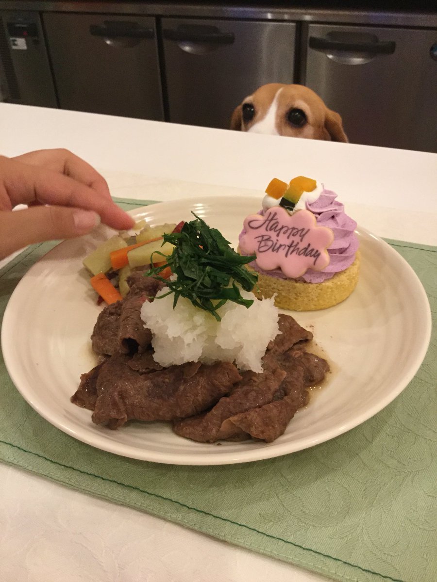 犬の誕生日ケーキ Twitter Search Twitter