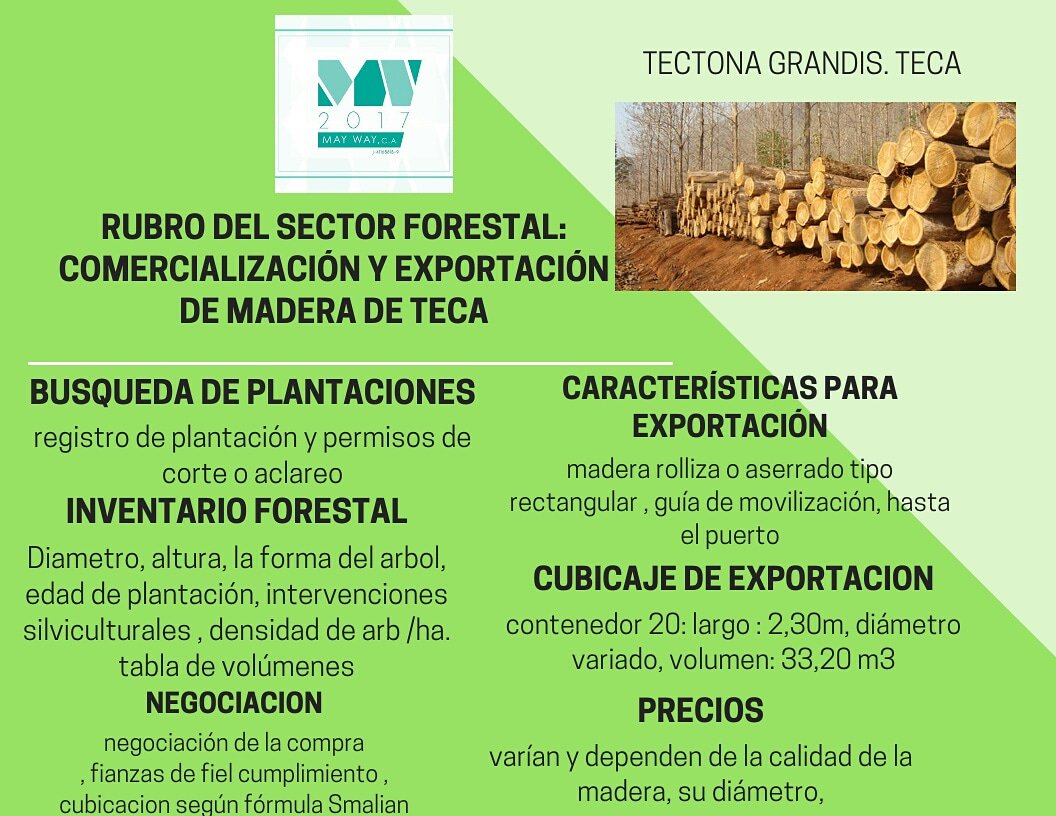 Marketing and export of teak wood from Venezuela to the world
@ABAKALSL @M_delOrinoco @BibliotecaINFOR @CUBAINAF @El_Silvicultor @ingdemontes