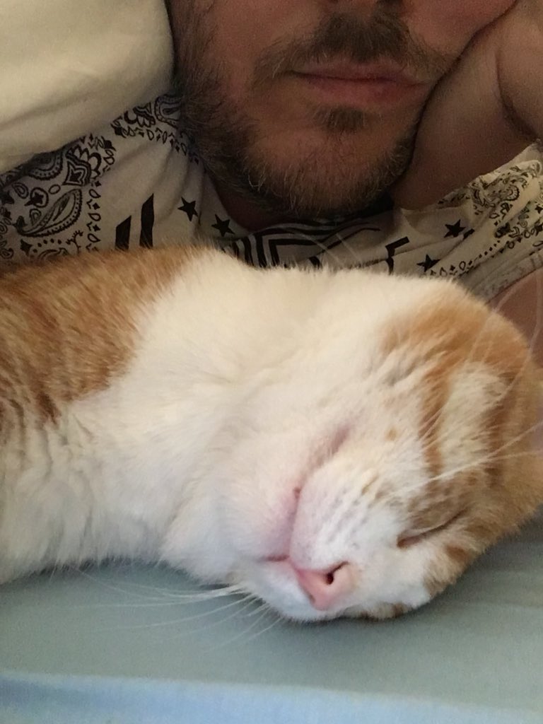 L_Maslowiec's tweet image. Gdy jeszcze nie zaczęli grzać a w mieszkaniu zimno... 
#kot #brajanek #pankot #kaloryfer