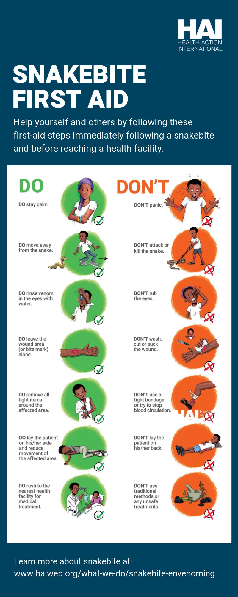 Snake Bite First Aid Poster