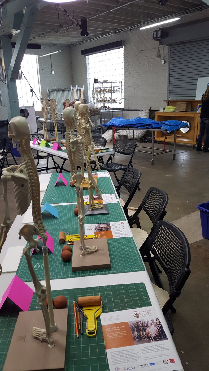 Hudson_MedLab's tweet photo. Exploring anatomy hands-on through cadaver study and building what we saw with @AnatomyinClay at the #2018NHSC pre-conference session yesterday! https://t.co/I1fMyLfXbi