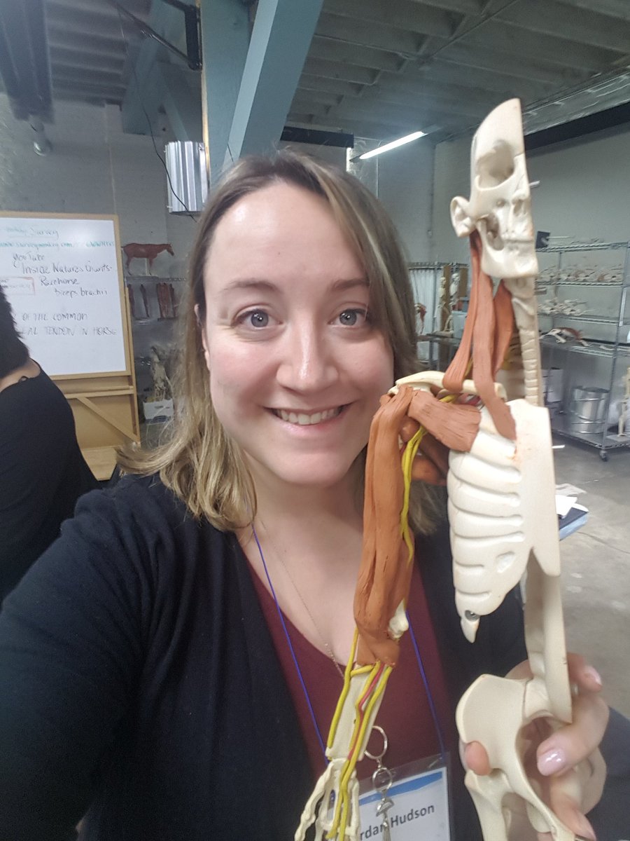 Hudson_MedLab's tweet photo. Exploring anatomy hands-on through cadaver study and building what we saw with @AnatomyinClay at the #2018NHSC pre-conference session yesterday! https://t.co/I1fMyLfXbi