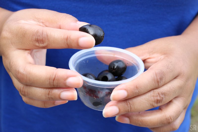 StacieRayeblog's tweet photo. #AD Do you love snacking on olives like I do? Then click here to get a $1.00 off coupon! #PearlsOlives #BetterwithPearls @PearlsOlives #healthysnacks

>>>https://t.co/YJKTx2hsNh<<< https://t.co/fSd2d7CTQl