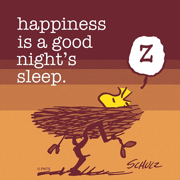 Peanuts Ar Twitter Happiness Is Getting A Good Night S Rest T Co Dewzgjs3ve Twitter