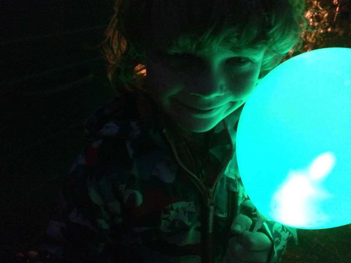 idedwards's tweet image. Vogrie fire and light show #midlothian