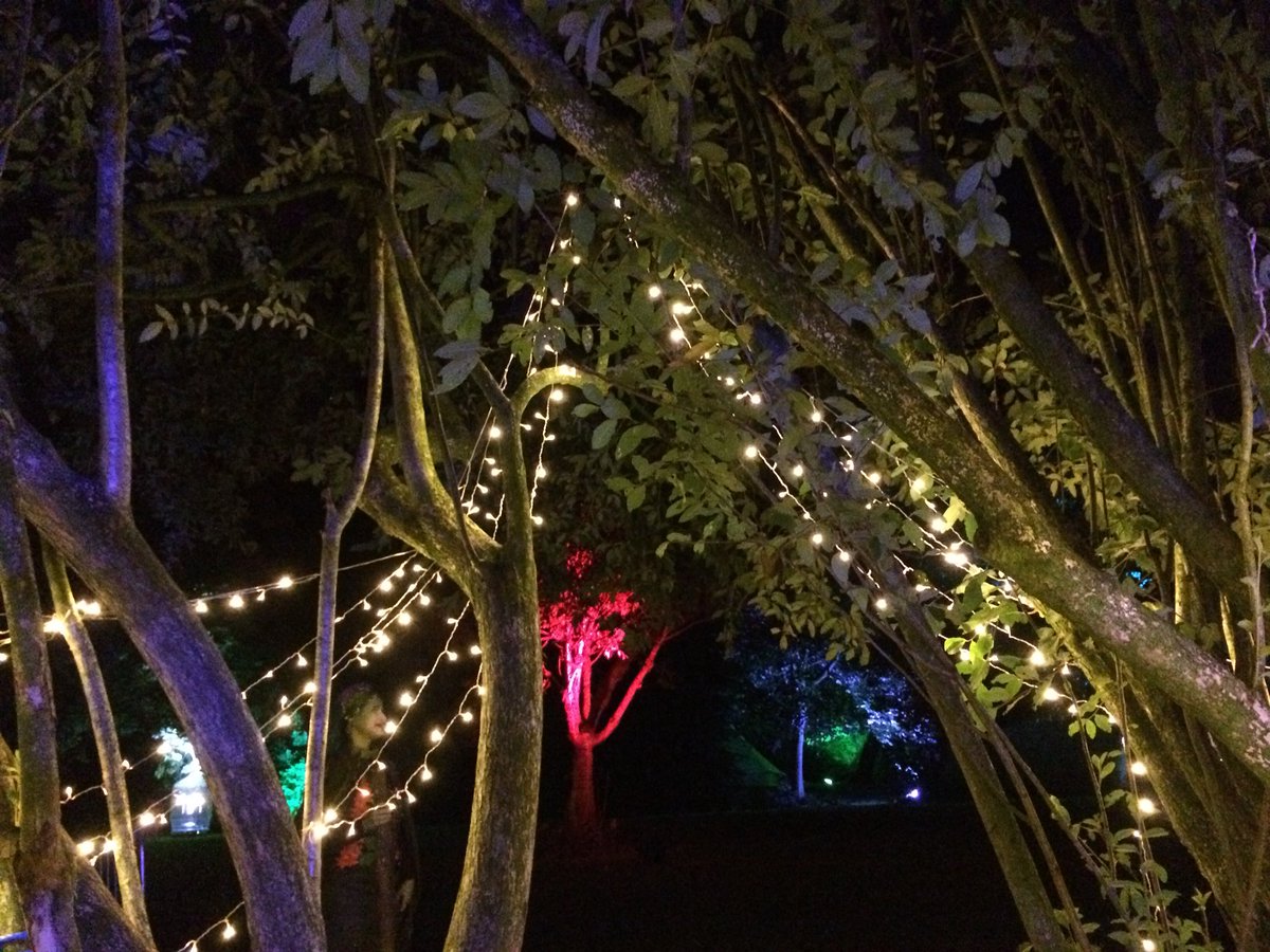 idedwards's tweet image. Vogrie fire and light show #midlothian