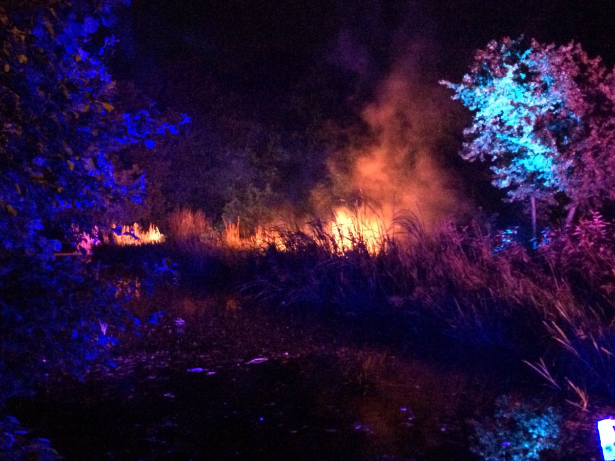 idedwards's tweet image. Vogrie fire and light show #midlothian