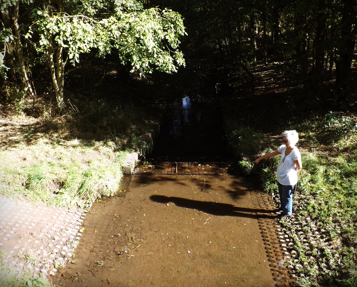 EcoRecording's tweet photo. Today we visited Woodgate Valley with @SalmonStour where we were looking at fish barriers along the Bourn Brook as well as checking out possible kingfisher burrows... https://t.co/G7n4PbWrZL