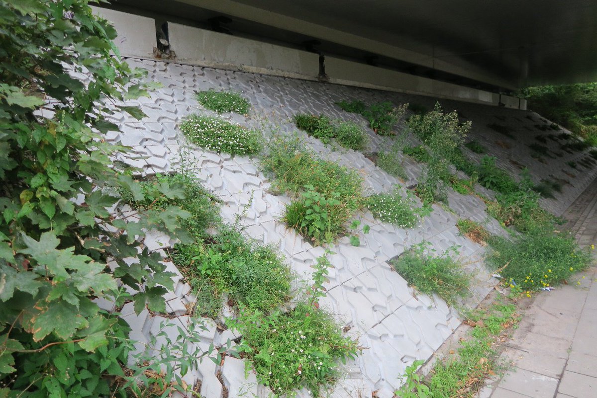 Onno Staal tweet media