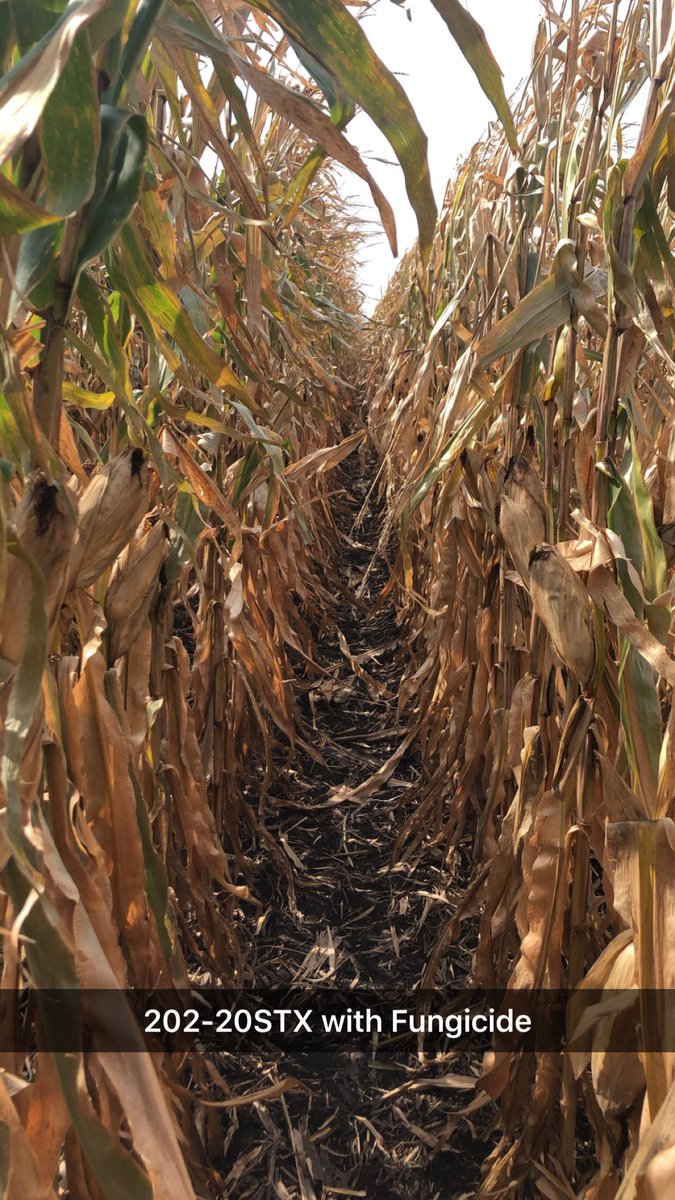 Jordan Drager tweet media