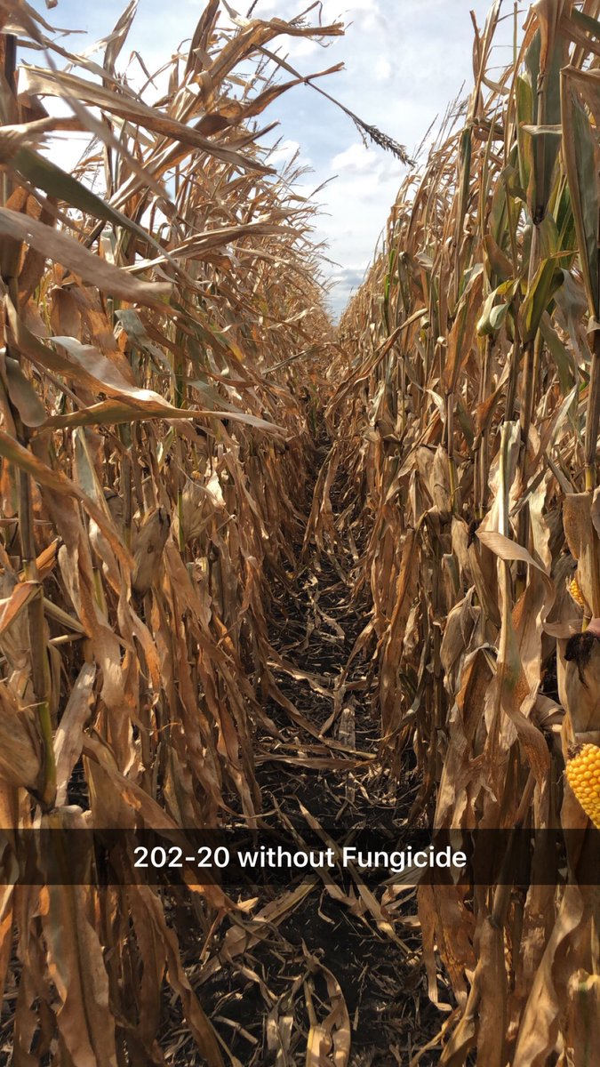 Jordan Drager tweet media