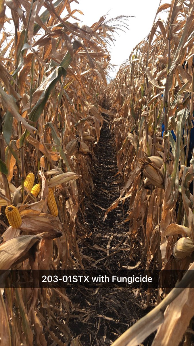 Jordan Drager tweet media