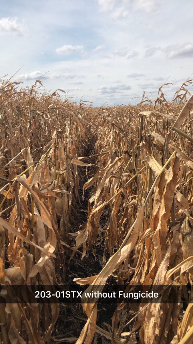 Jordan Drager tweet media