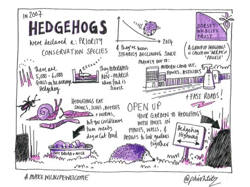 LGSpace's tweet image. Open up your garden to hedgehogs - great graphic from @DorsetWildlife
#HelpTheHedgehogs #wildlife #GreenSpaceTips