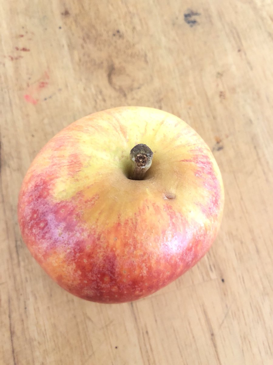 gemini_ask's tweet photo. I’m like this apple, rotting inside. https://t.co/jggqNMFVSN