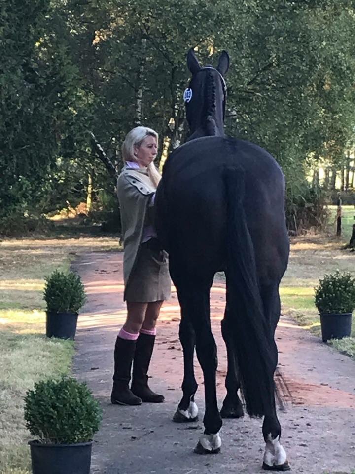 bedeevents's tweet photo. Trot Up @Hihotweet at Osberton International Horse Trials TODAY
The sun had his hat on! ☀️☀️☀️
Best dressed announced on Sunday
#trotup #tristar2tokyo #osbertonht #eventing https://t.co/WUT5sKZKho