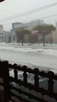 Ver imagen en Twitter