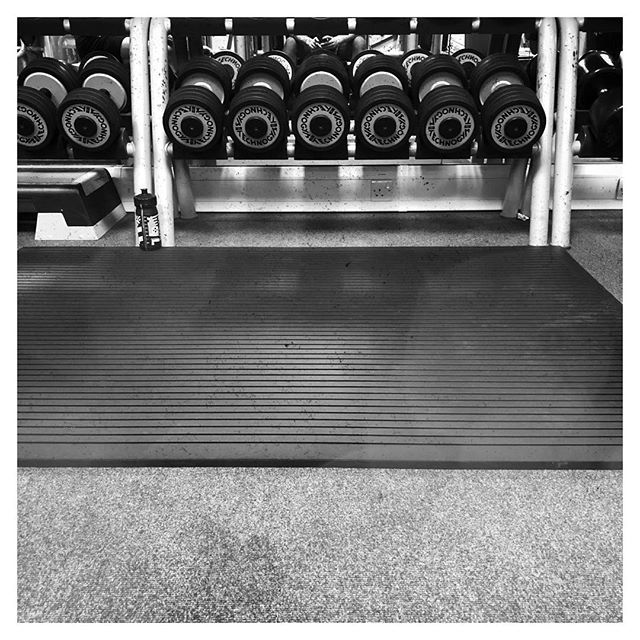 TheOnlyNeoni's tweet photo. Week 2 Day 3 🏋🏻‍♀️ into new training program.

It hurts. https://t.co/jOazwGSdUd https://t.co/ds4Hj5q6dH