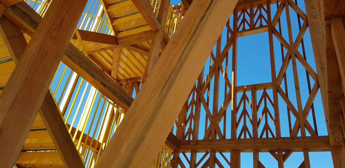 Tania Love RIBA FRSA FIPM tweet media