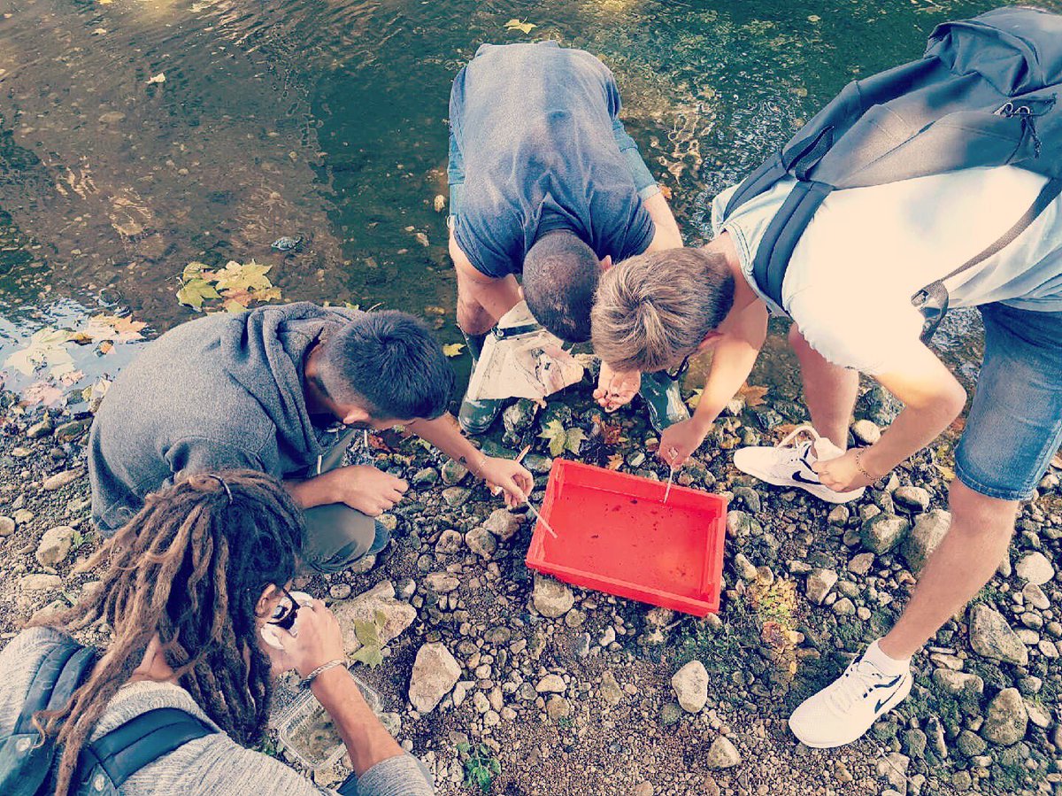 BTSGEMEAUAntibe's tweet photo. Les BTS GEMEAU réalisent un IBGN sur la Brague à Biot #TPEAU #EAU #BTSGEMEAU #BRAGUE #BIOT #ANTIBES #VERTDAZUR #ECOLOGIE #INDICATEUR #CFPPAA #CFAMEDD #REGIONSUD https://t.co/JZMHAHk4Hb