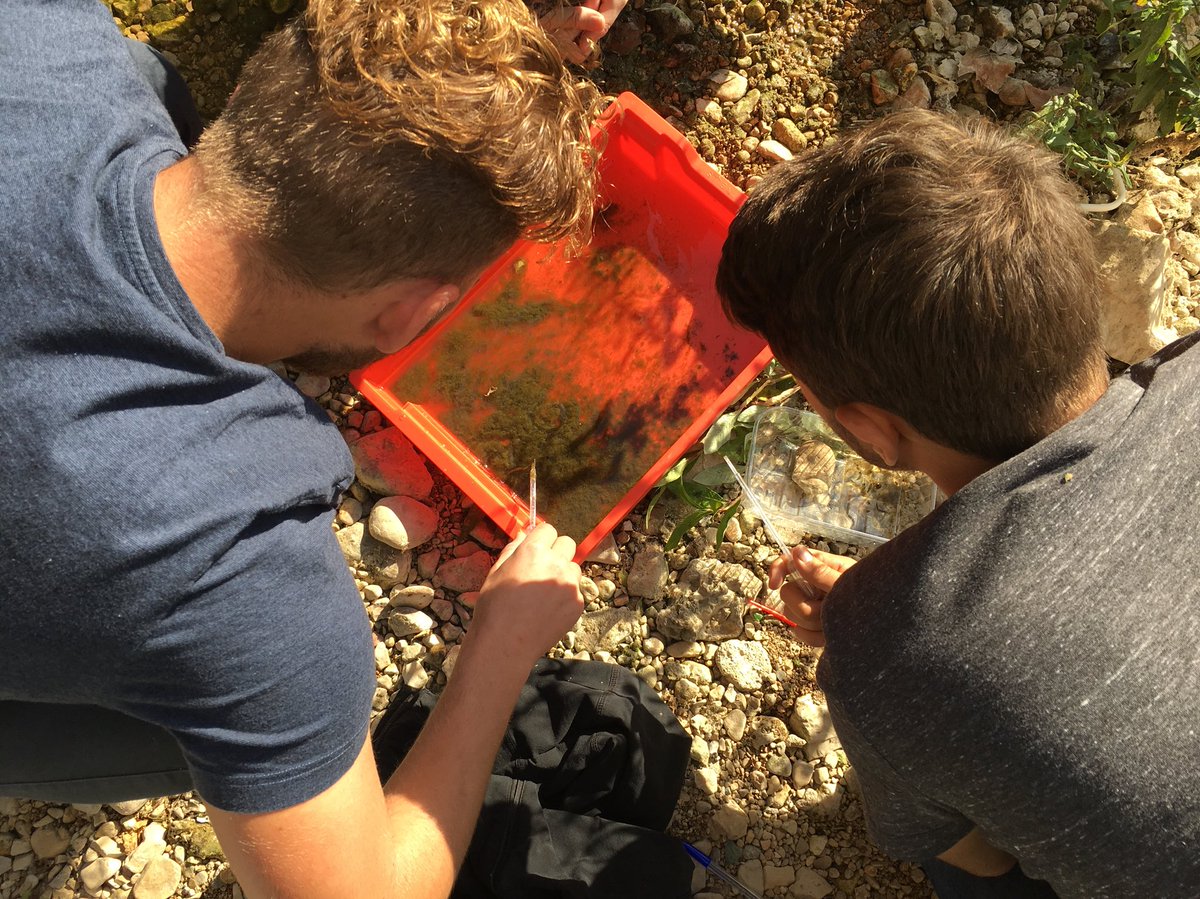 BTSGEMEAUAntibe's tweet photo. Les BTS GEMEAU du CFPPA réalisent un IBGN sur la Brague à BIOT
#TPEAU #BTSGEMEAU #crevettes #Brague #biot #antibes #vertazur #environnement #vertdazur #cfamedd #cffpaa https://t.co/15ICYkishB