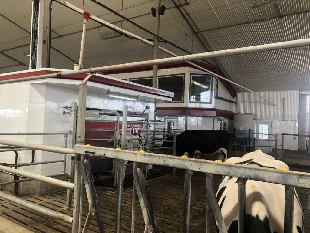 katelynmackay's tweet image. Had a great day at the @Avonbank_Ag Lely A5 tour #livelifelely