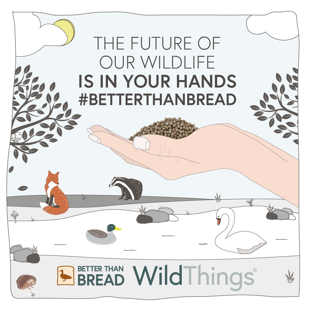 WildThingsFoods's tweet photo. Are you a youth leader in your local area? To find out how to encourage the use of Swan & Duck Food in your community sign up to our Facebook contact form here >> NEED LINK
#BetterThanBread https://t.co/KEz3mHZIDb