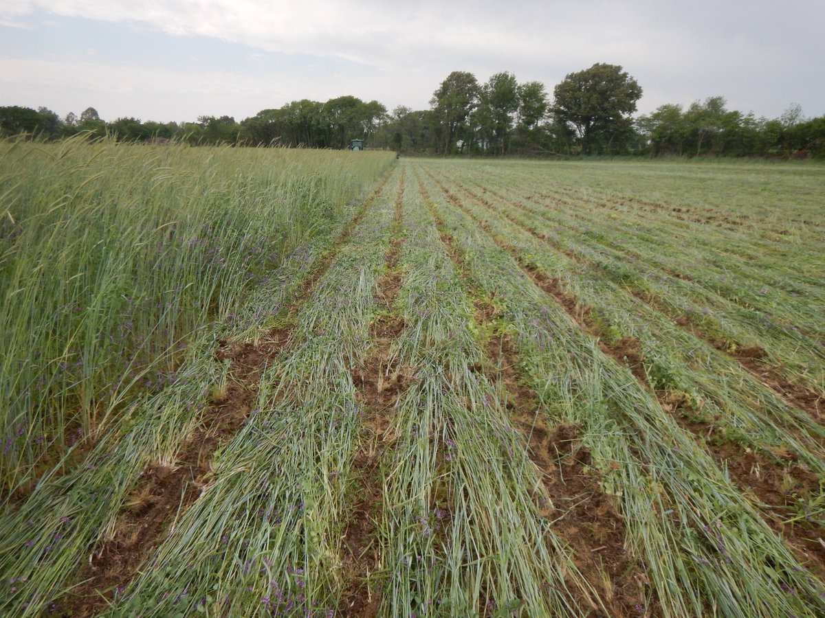 UndergroundAgri's tweet photo. Are the people telling you it can't be done also selling you herbicides and fertilizer? https://t.co/8NY7wtONWt