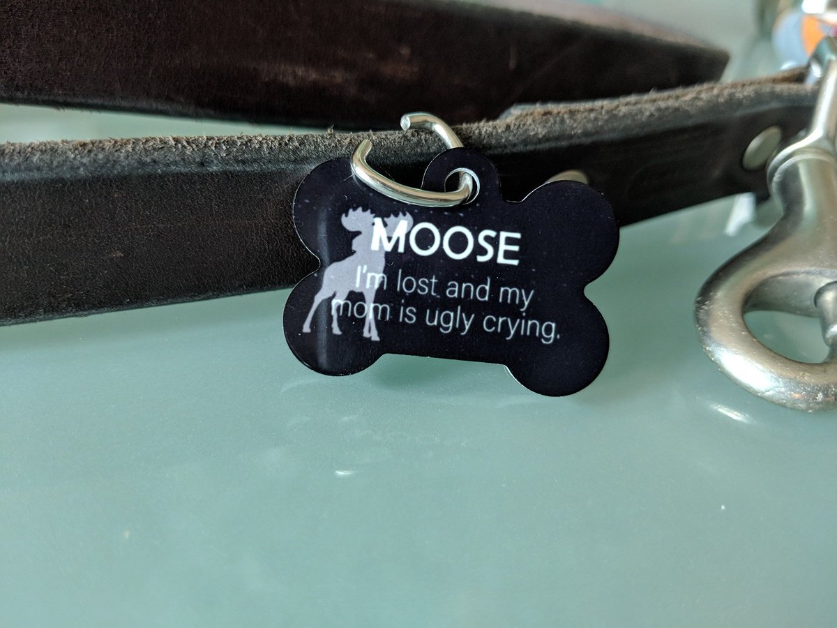 realUnisub's tweet photo. Look at that sleek tag! Lookin' good Moose! Swipe to see a close-up! 
#unisub #sublimation #dogtags #pettags #identification #moose #dogmom #doggo #pupper #gsd #whippet #dyesub #design #bones https://t.co/q9TtaiPkEx
