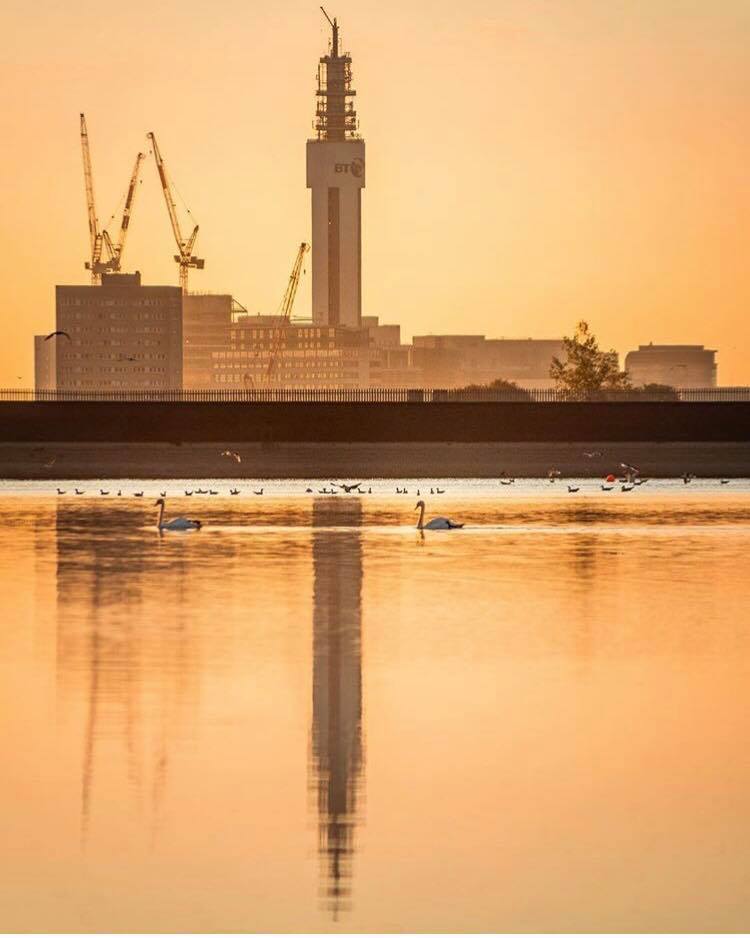 BhamUpdates's tweet photo. There's many a beautiful back-drop here in our city and we have a fab community of photographers who showcase where we live. On 20th October beginners and professionals, alike, are invited to the first Birmingham Photography Festival. More info here: https://t.co/kT8wkAoTow https://t.co/BchYeuPJmd