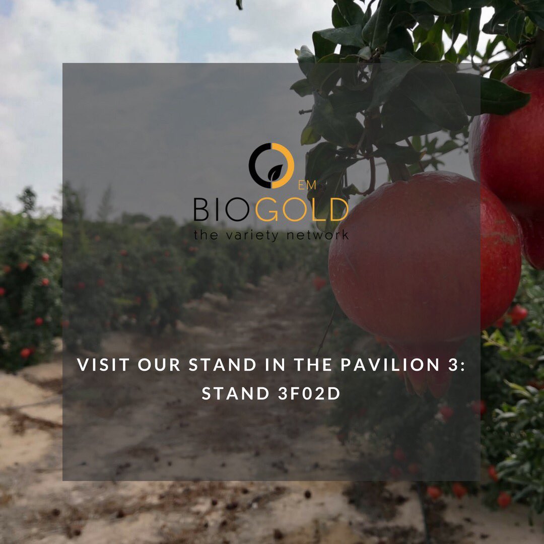 GranadaSmith's tweet photo. Este año programa tu reunión de FruitAttraction con nosotros y aprovecha tu visita a IFEMA para conocer las variedades protegidas que están revolucionando la agricultura. 
Estamos en el stand 3F02D en el pabellón 3
#tropical #mangoe #mangos #fruit #fruitattraction #feria https://t.co/u4JCX8vQqi