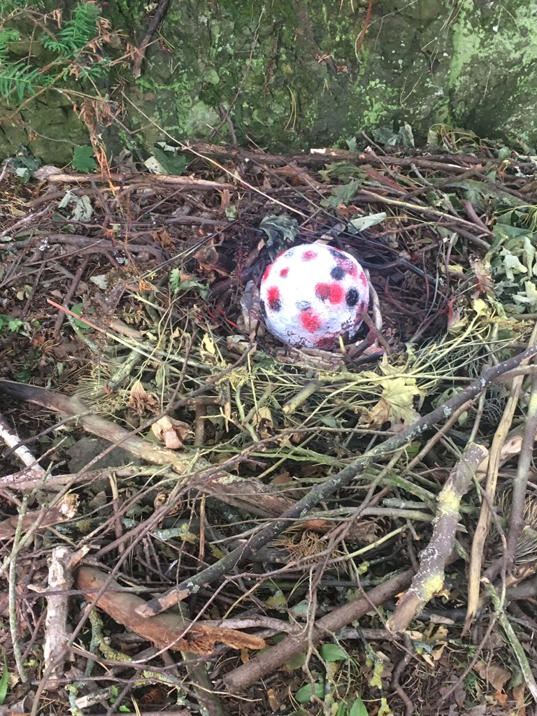P2WCockenziePS's tweet photo. A great trip to Dirleton Castle today. Lots of learning about castles and we even found a dragon’s nest and egg! @andrewsp2009 @CockenziePS #dirletoncastle https://t.co/iCrleFzMDc