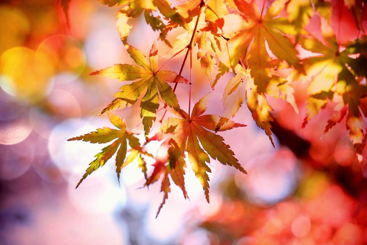 Who else loves the changing leaves?
(303) 625-7477
