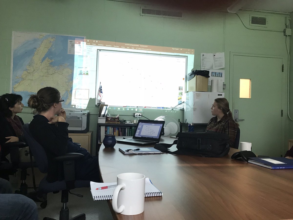 humans_MUNBIOL's tweet photo. For the last 24h #lifeofaprof has been:
- thesis review (not exciting to photograph)
- sleep
- one very energizing lab group meeting with folks from @sjleroux lab (very badly photographed) https://t.co/M3ovkQomk1