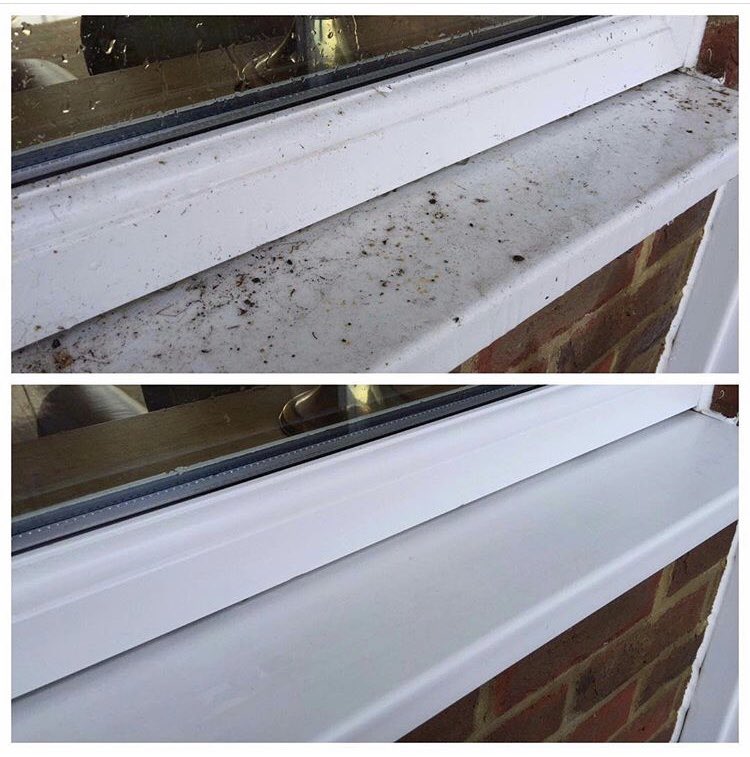 SullivanWC's tweet photo. Panes of windows are important, but so are the frames and sills and that’s why we clean them on every clean! 🏡💧 https://t.co/zlN81bGcWr