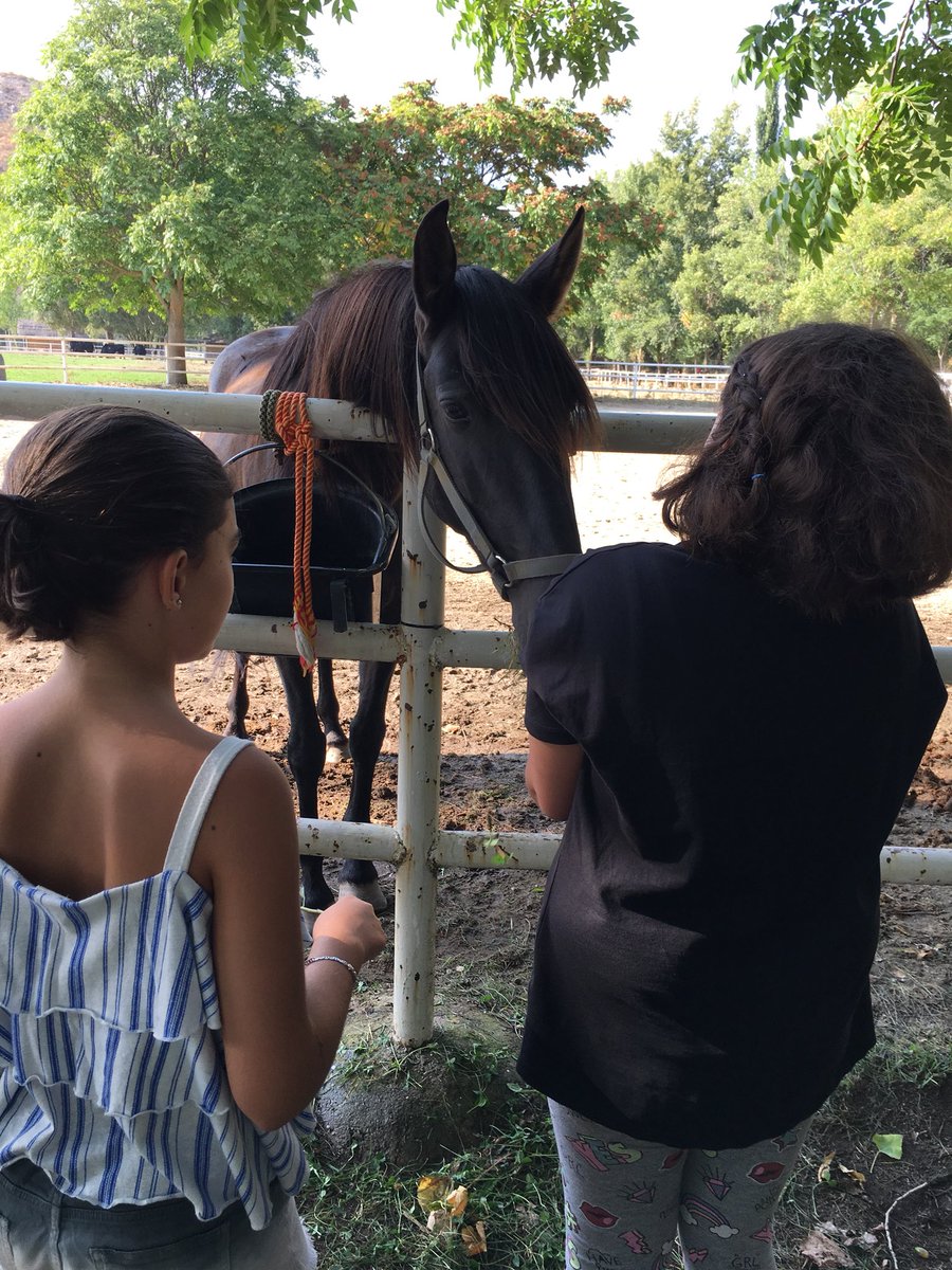 Veronica p. tweet media