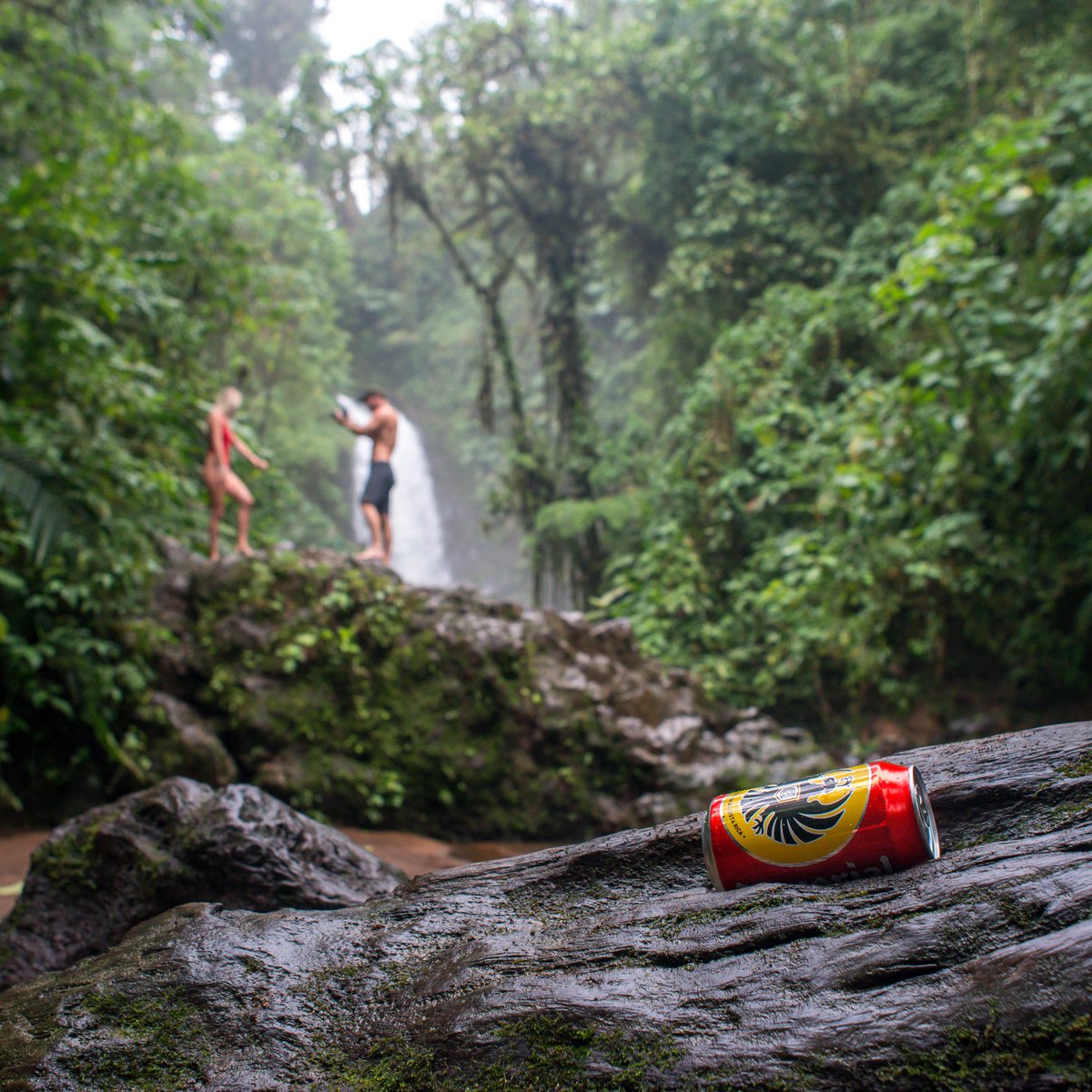 imperialbeerus's tweet photo. Imperial cans are the perfect adventure companion.  #ImperialBeer #Nature https://t.co/yAtkQksB9S