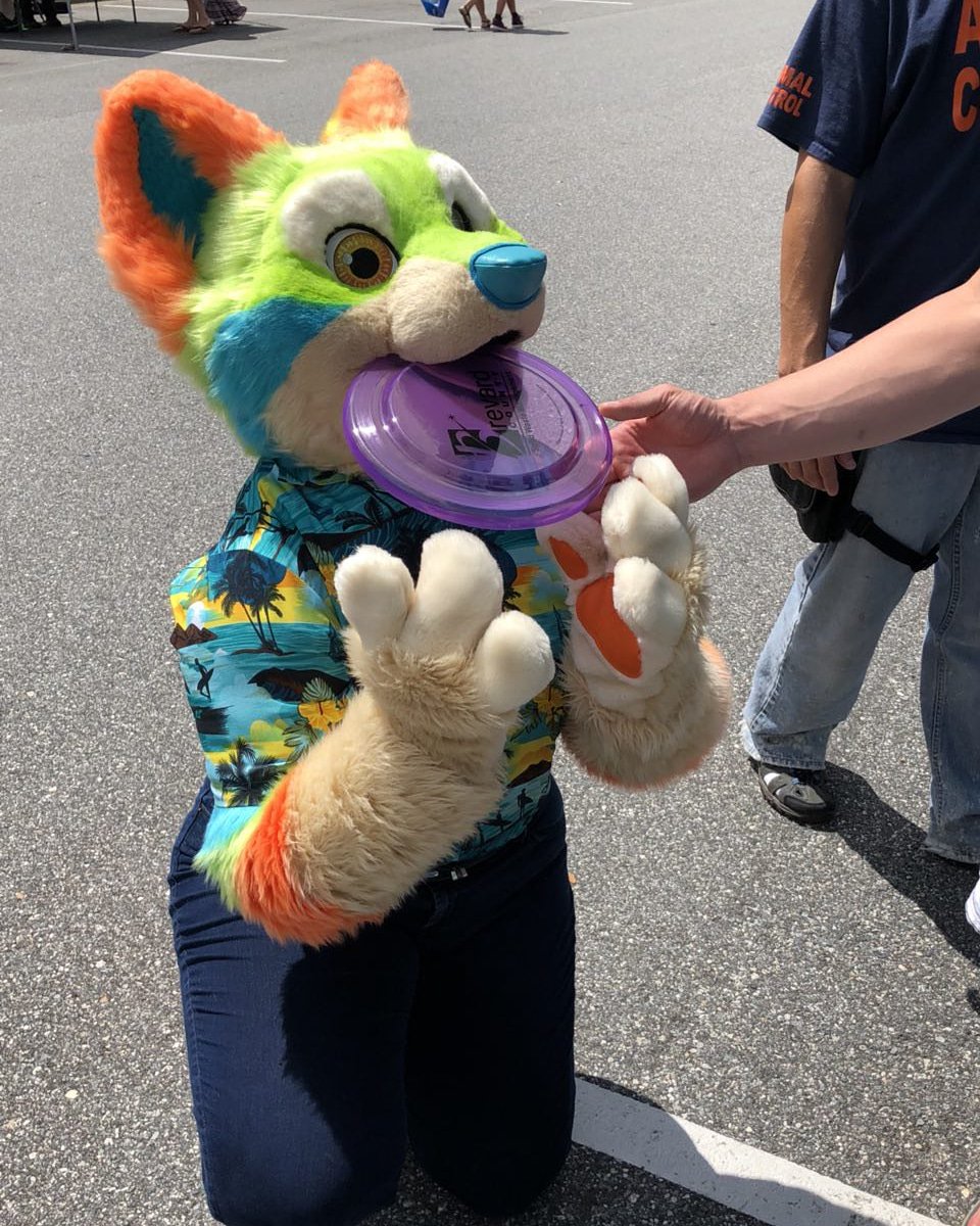 AgentofMirth's tweet photo. It may only be Wednesday, but that doesn't mean you shouldn't take a little break and have some fun! #aom #agentsofmirth #WednesdayWisdom #furry https://t.co/fmVdE69dkv
